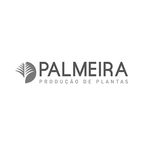 palmeira